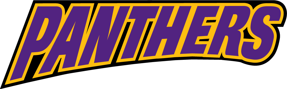 Northern Iowa Panthers 2002-2014 Wordmark Logo v4 DIY iron on transfer (heat transfer)